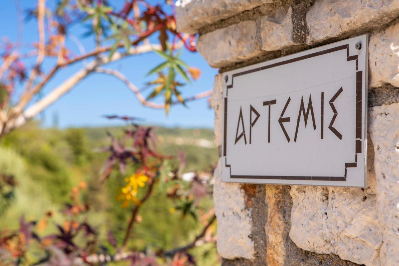 Villa Artemis Nikiana Bagian luar foto